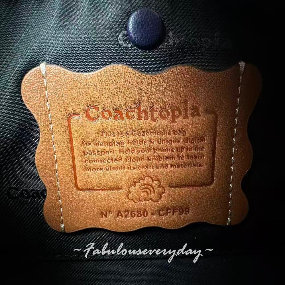 Coach Small Slouchy Alter Ego Shoulder Bag Patchwork Sig Leather Blue CFF99 NWT - Picture 7 of 8